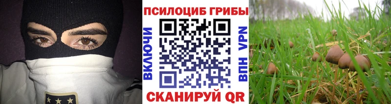Псилоцибиновые грибы GOLDEN TEACHER  Красный Кут 